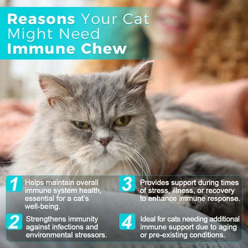 Cat Immune Support Chews (60 Count)