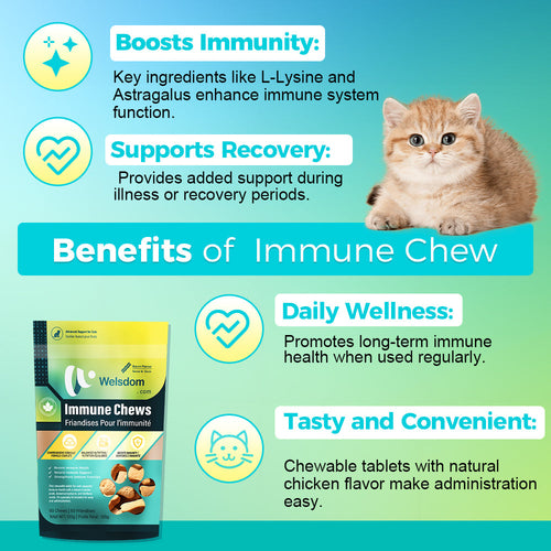 Cat Immune Support Chews (60 Count)