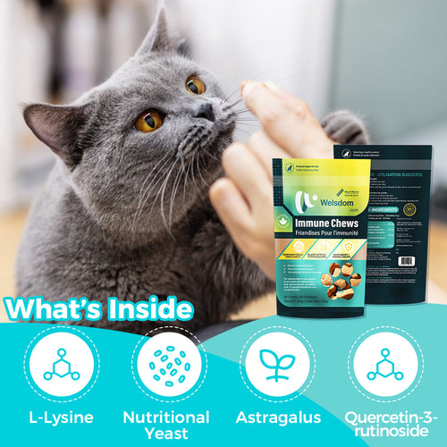 Cat Immune Support Chews (60 Count)