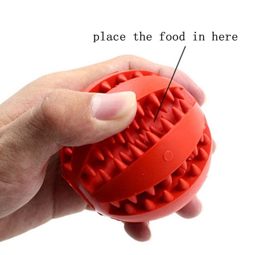 Chew & Feeder Ball Toy for Cats & Dogs