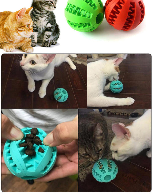 Chew & Feeder Ball Toy for Cats & Dogs